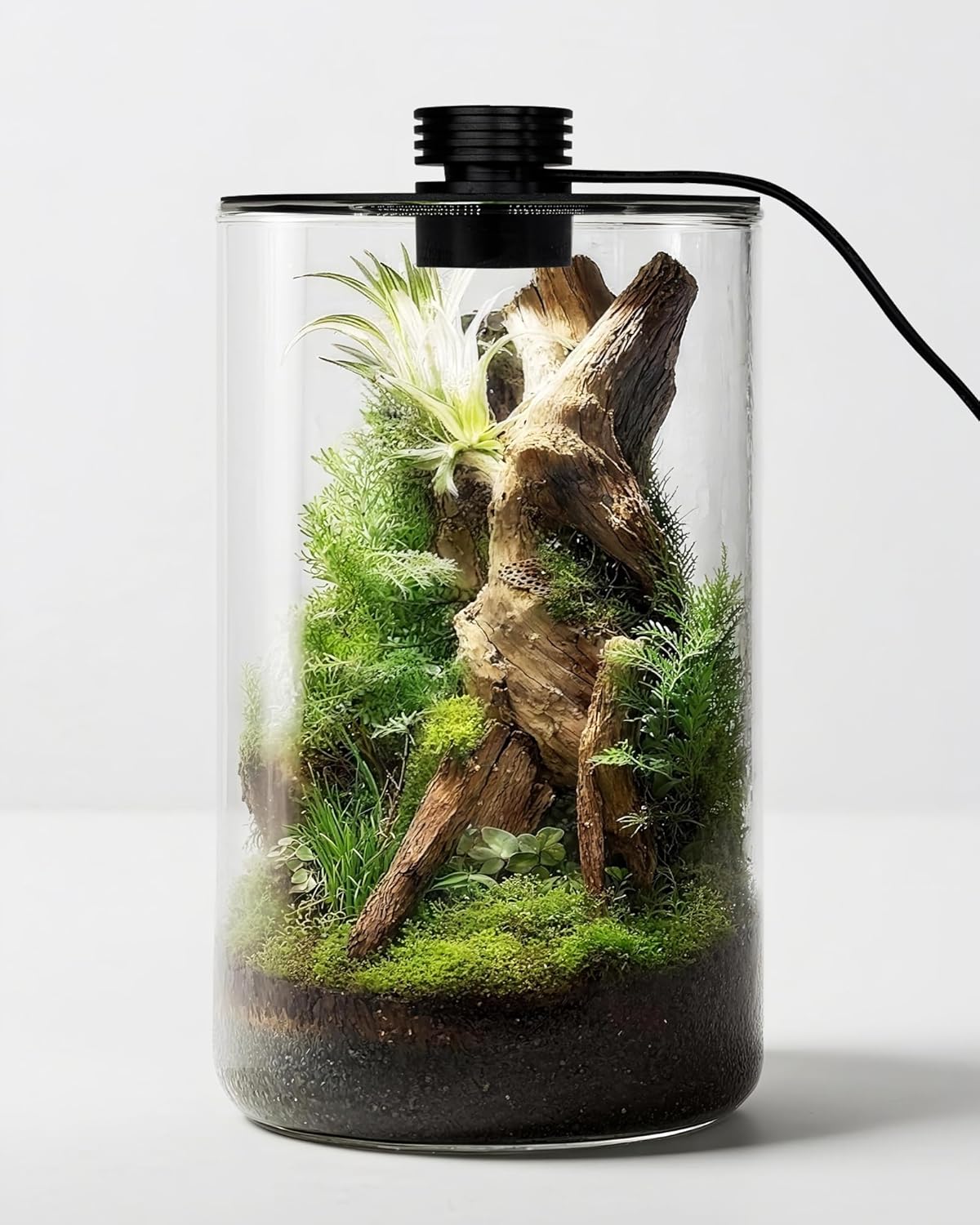 Office Lighting Decor - Indoor Glass Terrarium with Grow Light,