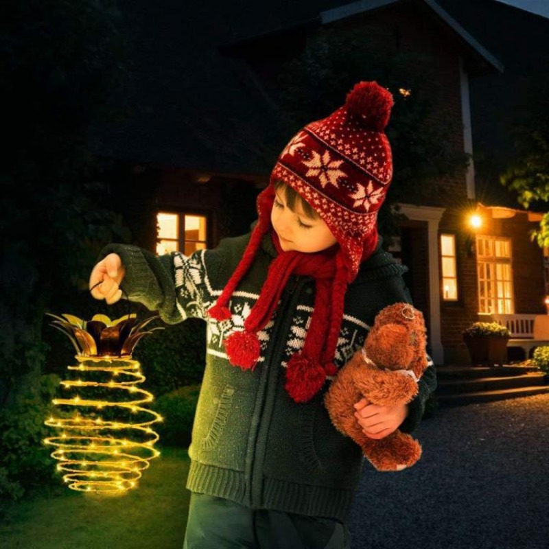 Solar Charging Light LED Coppe - String Light Outdoor 评论和价格