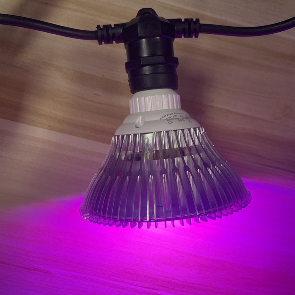 10M Cable LED String Commercia - String Light Outdoor 评论和价格