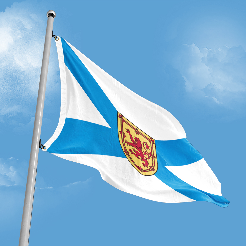 Canada Flag of Nova Scotia 3ft - Nova Decor & Lighting Julestjerne 评论和价格