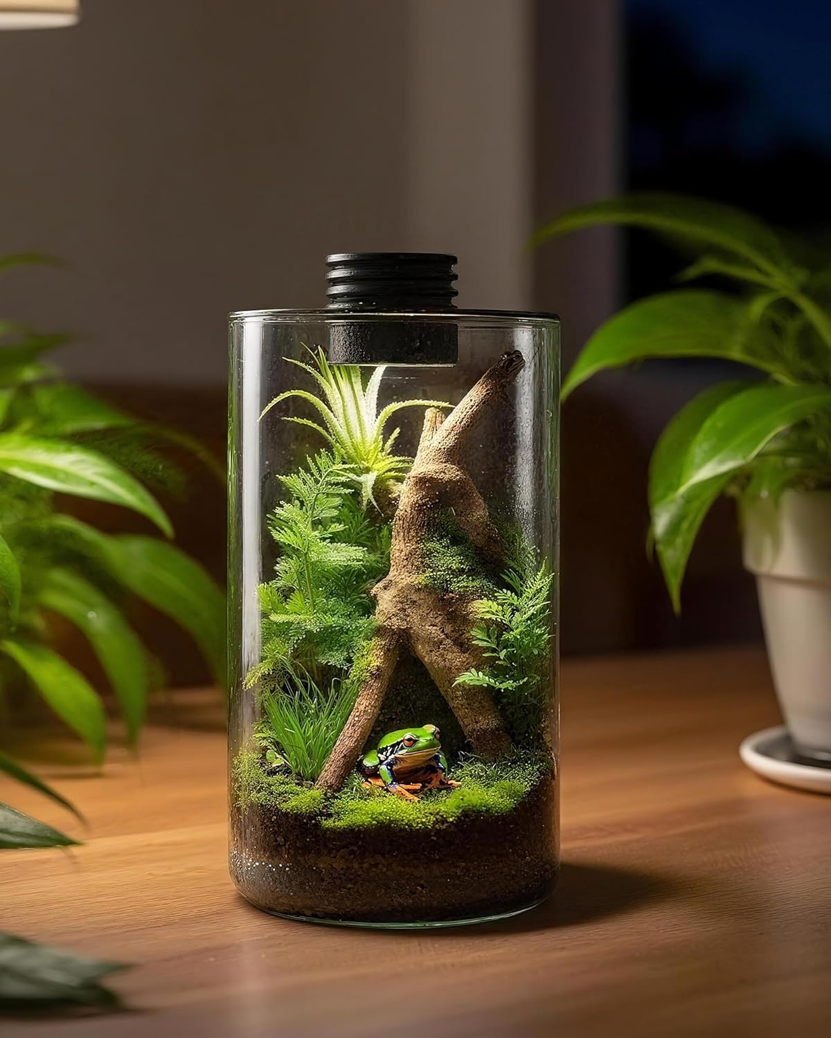 Indoor Glass Terrarium with Gr - Office Lighting Decor 评论和价格