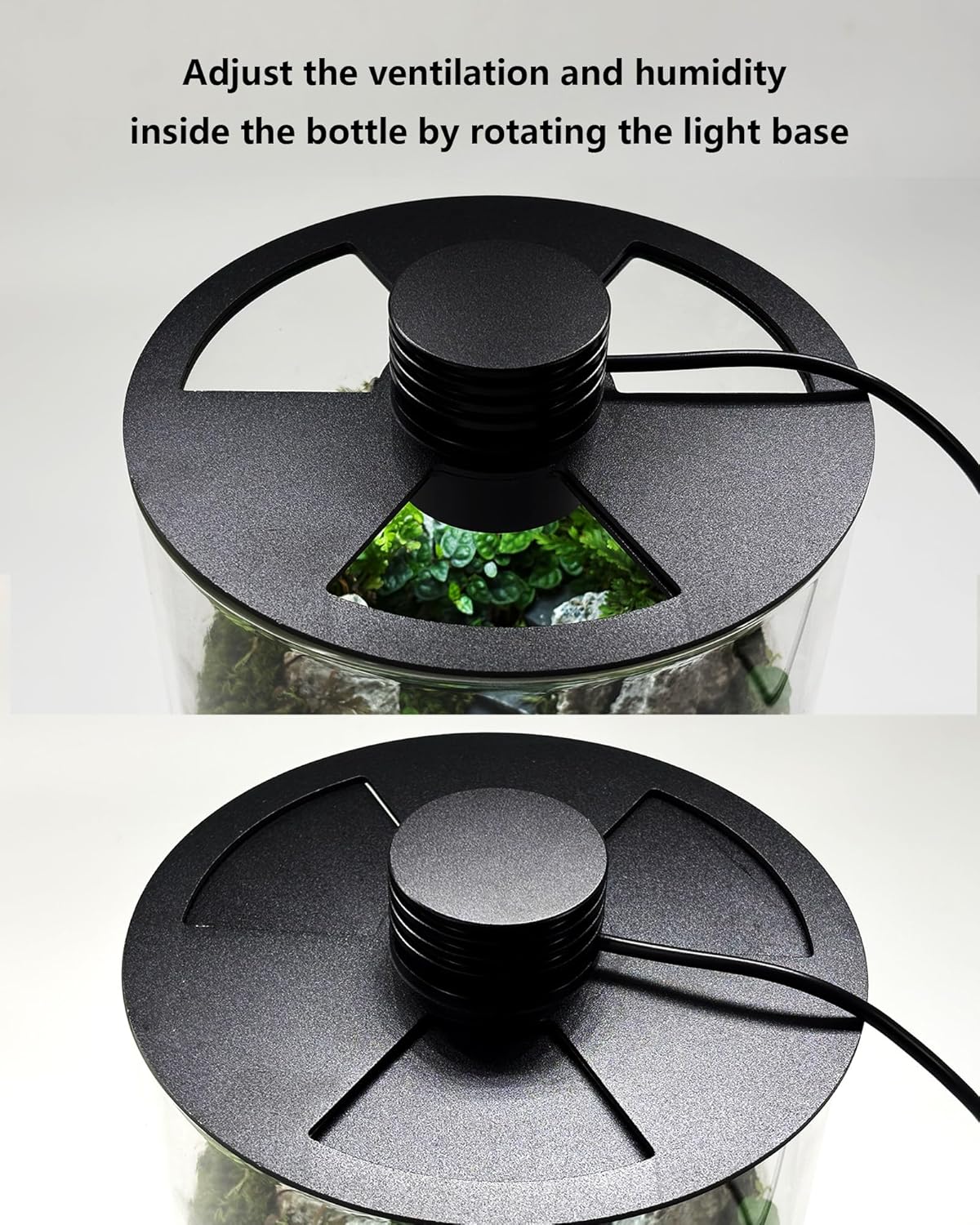 Indoor Glass Terrarium with Gr - Office Lighting Decor 评论和价格